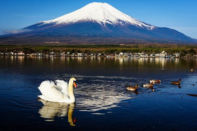 Mt Fuji Lake Kawaguchi and Yamanaka Hot Spring Day Tour in Tokyo - Key Points