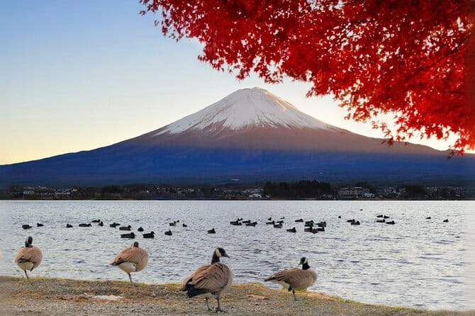 Mt Fuji Lake Kawaguchi and Yamanaka Hot Spring Day Tour in Tokyo - Transportation and Logistics