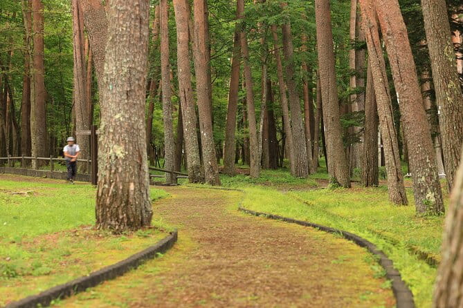 Mt. Fuji Luxury Getaway and Hakone Adventure by Private Car - Ensuring a Seamless and Memorable Tour