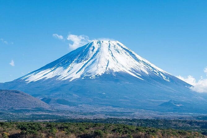 Mt.Fuji, Oishi Park & Arakurayama Sengen Park Bus Tour From Tokyo - Physical Requirements and Restrictions