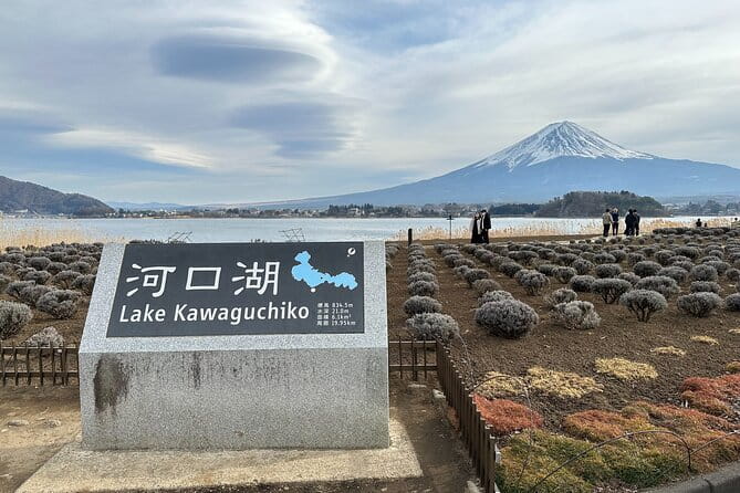 Mt.Fuji, Oishi Park & Arakurayama Sengen Park Bus Tour From Tokyo - Conditions and Cancellations