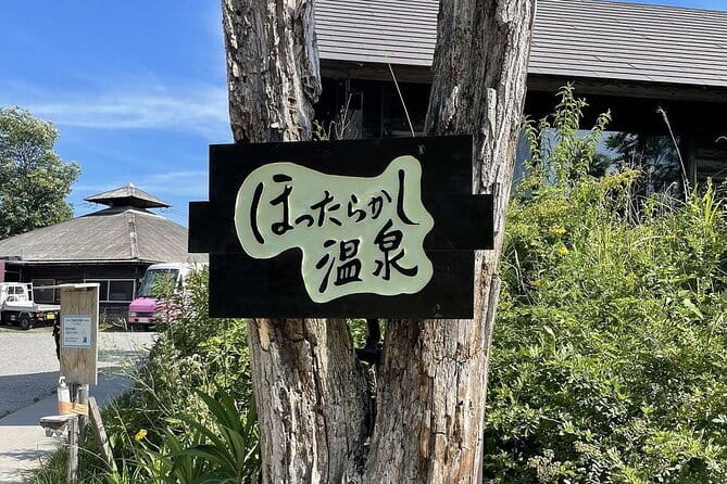 Mt. Fuji, Onsen (Tattoo Ok) & Japanese Sake, Wine & Whiskey Tour - Tips for an Enjoyable Experience