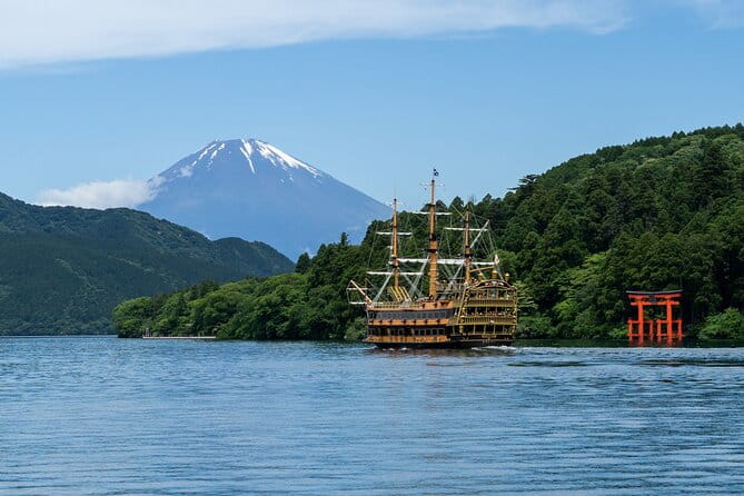 Mt. Fuji or Hakone Private Sightseeing Day Trip From Tokyo - Pickup and Timing Details