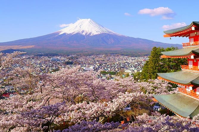 Mt. Fuji Private Car Tour From Tokyo - Tour Schedule