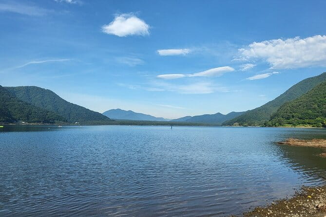 Mt. Fuji Private Car Tour From Tokyo - Booking and Cancellation Policies