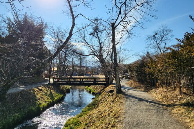 Mt. Fuji Private Car Tour From Tokyo - Highlights of the Private Car Tour