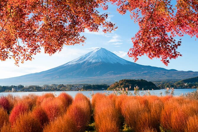 Mt Fuji Private Day Trip From Tokyo With English Speaking Driver - Traveler Reviews and Experiences