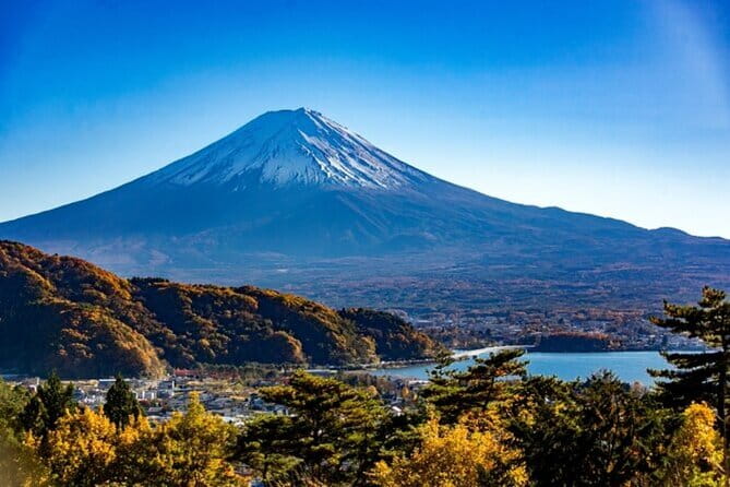 Mt. Fuji Private Tour From Tokyo With English Guide - Booking Information and Pricing