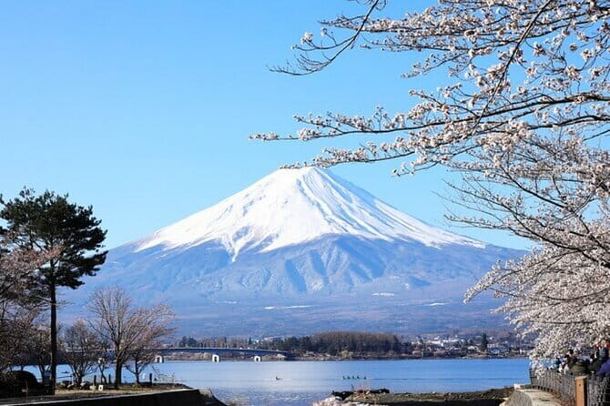 Mt. Fuji Private Tour From Tokyo With English Guide - Tips for a Memorable Mt. Fuji Experience