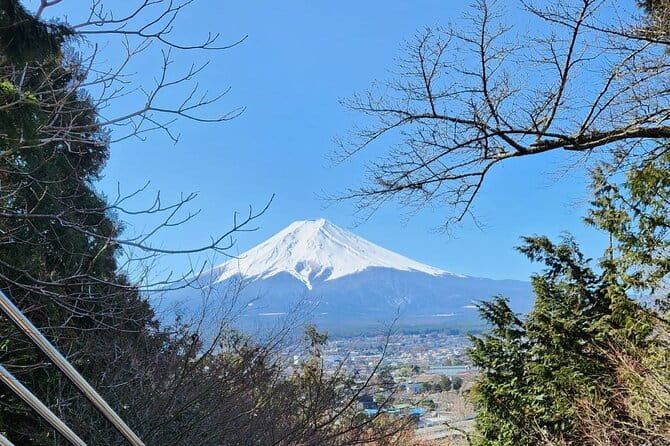 Mt Fuji Private Tour With English Speaking Driver - Customer Experience and Reviews