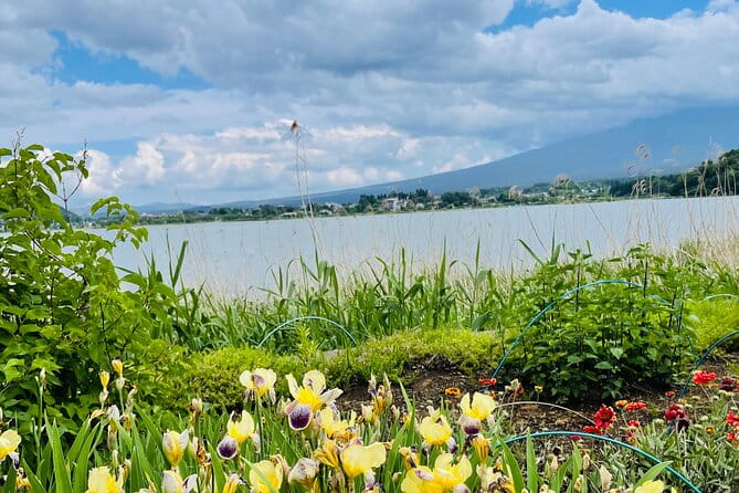 Mt Fuji Private Tour With English Speaking Driver - Key Points