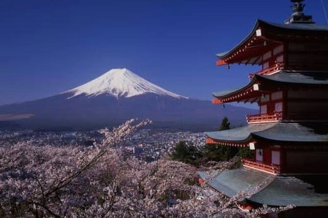 Mt Fuji Private Tour With English Speaking Driver - Accessibility Features
