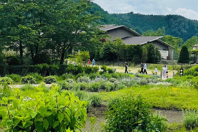 Mt Fuji Private Tour With English Speaking Driver - Local Cuisine and Dining Options