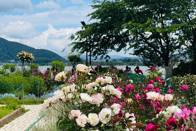 Mt Fuji Private Tour With English Speaking Driver - Cultural Experiences During the Tour