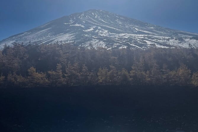Mt. Fuji Private Tour With English Speaking Driver - Customer Review Highlights