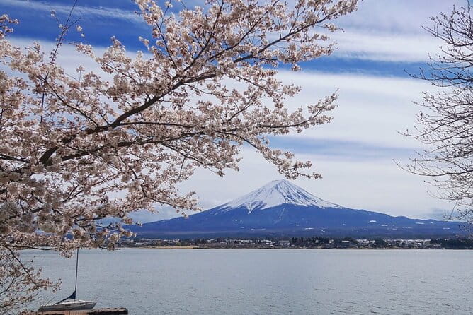 Mt. Fuji Private Tour With English Speaking Driver - Cultural Significance of Mount Fuji