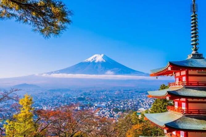 Mt. Fuji Shiba Sakura Festival and Hoto Noodle Making - Accessibility and Special Requirements