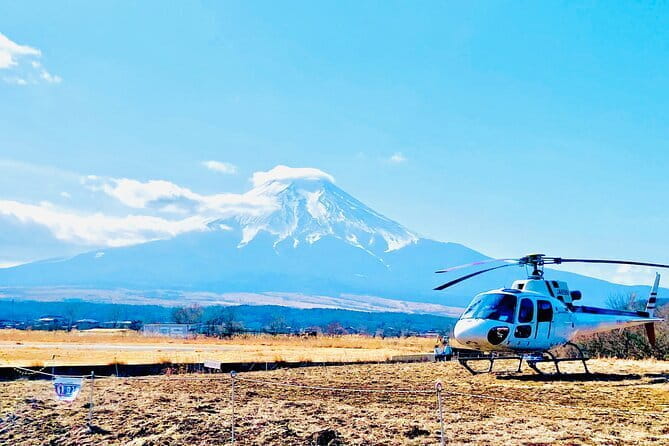 Mt. Fuji Shiba Sakura Festival and Hoto Noodle Making - Exploring Tokyos Vibrant Culture