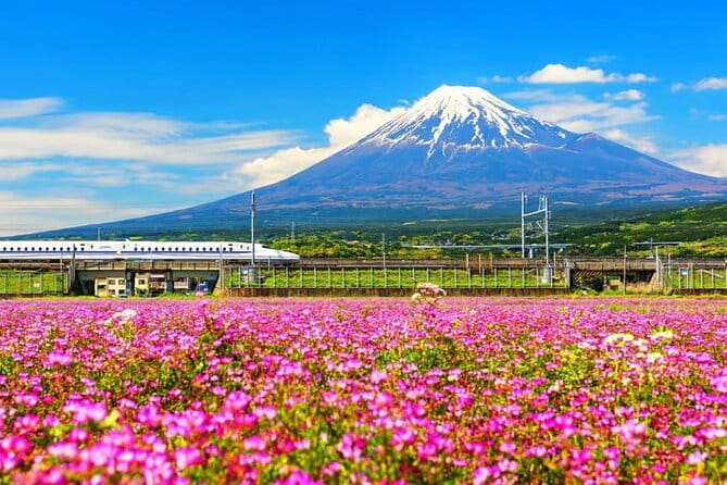 Mt. Fuji to Lake Kawaguchi, Lake Yamanaka and Onsen Day Tour - Key Points