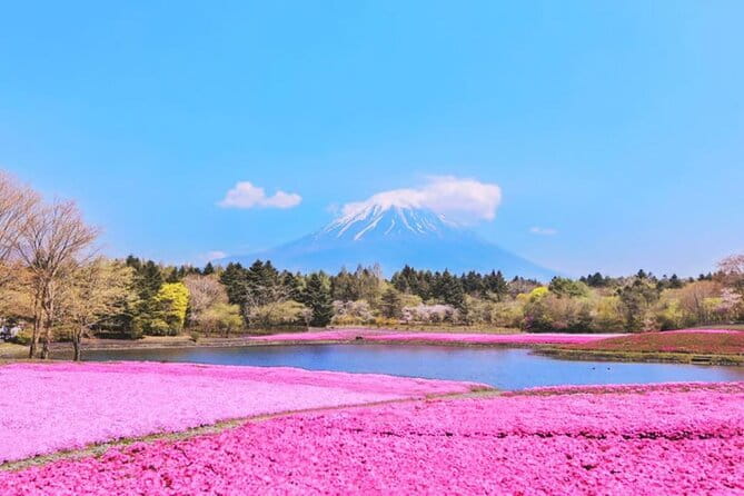 Mt. Fuji to Lake Kawaguchi, Lake Yamanaka and Onsen Day Tour - Important Information