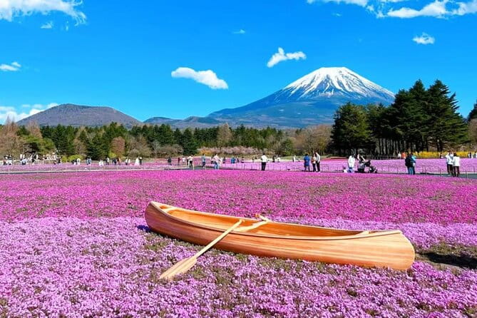 Mt. Fuji to Lake Kawaguchi, Lake Yamanaka and Onsen Day Tour - Cancellation and Reservation Policy