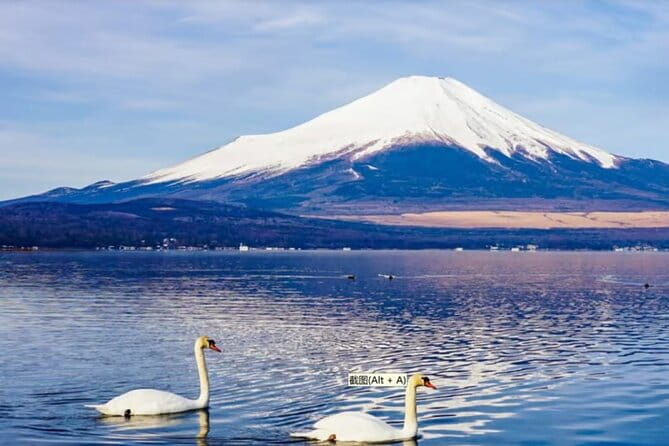 Mt. Fuji to Lake Kawaguchi, Lake Yamanaka and Onsen Day Tour - Explore the Stunning Mt. Fuji