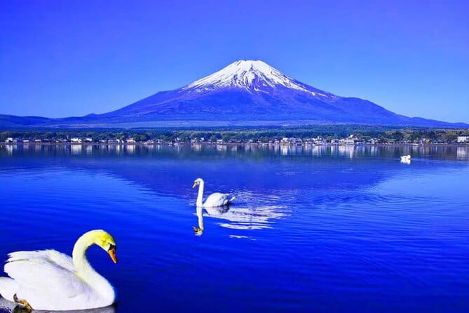 Mt. Fuji to Lake Kawaguchi, Lake Yamanaka and Onsen Day Tour - Discover the Beauty of Lake Kawaguchi