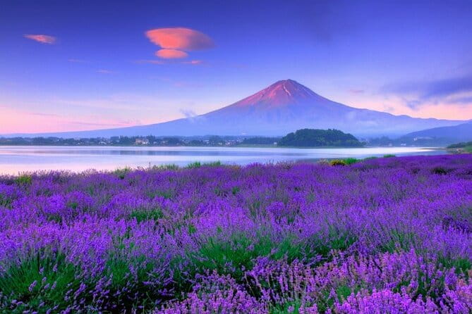 Mt. Fuji Tour in Lake Kawaguchi and Oshino Hakkai - Inclusions and Exclusions