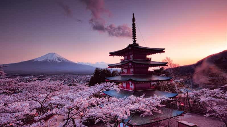 Mt Fuji Tour With Experienced English Driver - Key Points