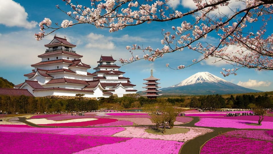 Mt Fuji Tour With Experienced English Driver - Itinerary Highlights