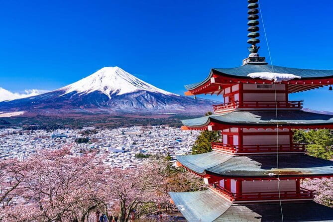 Mt. Fuji Tours to Lake Kawaguchi and Yamanaka Onse English Guide - Additional Tips for Travelers
