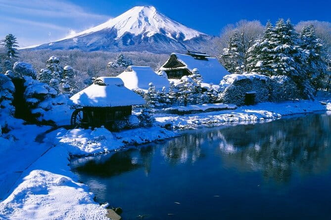 Mt. Fuji Tours With Kawaguchi Lake Ropeway View English Speaking - Customer Experiences and Feedback