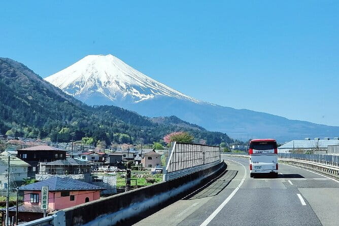 Mt. Fuji View and 2hours+ Free Time at Gotemba Premium Outlets - Inclusions and Amenities