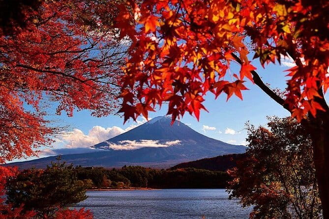 Mt. Fuji View and 2hours+ Free Time at Gotemba Premium Outlets - Itinerary Overview
