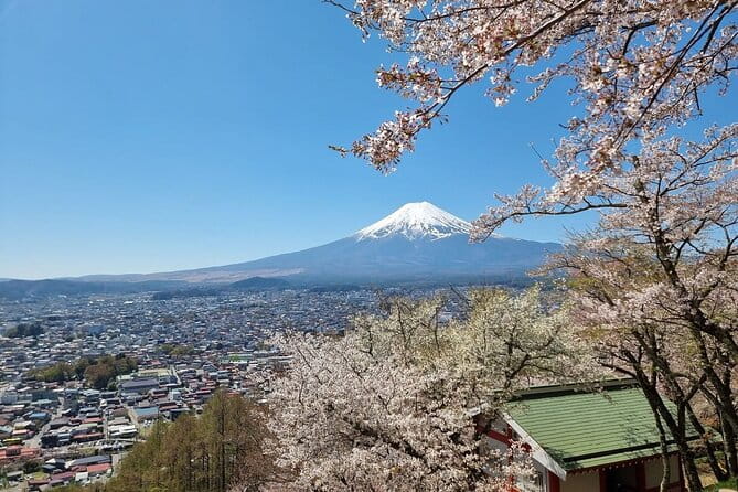 Mt. Fuji View and 2hours+ Free Time at Gotemba Premium Outlets - Reviews and Feedback