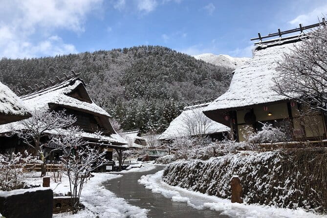 Mt. Fuji Viewing & Suntory Hakushu Distillery Whisky Museum - Health and Safety Guidelines