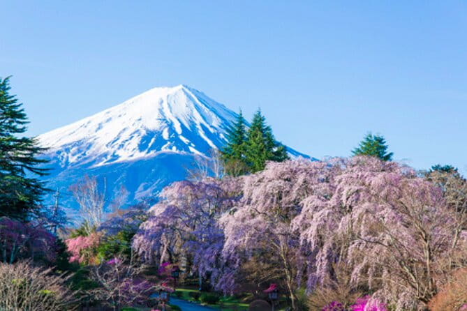 Mt. Fuji's Fifth Station & Lake Kawaguchiko Cycling Tour - Itinerary