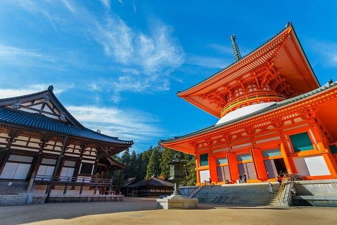 Mt. Koya Sacred 4hr Private Tour With Government Licensed Guide - Customizable Tour Options