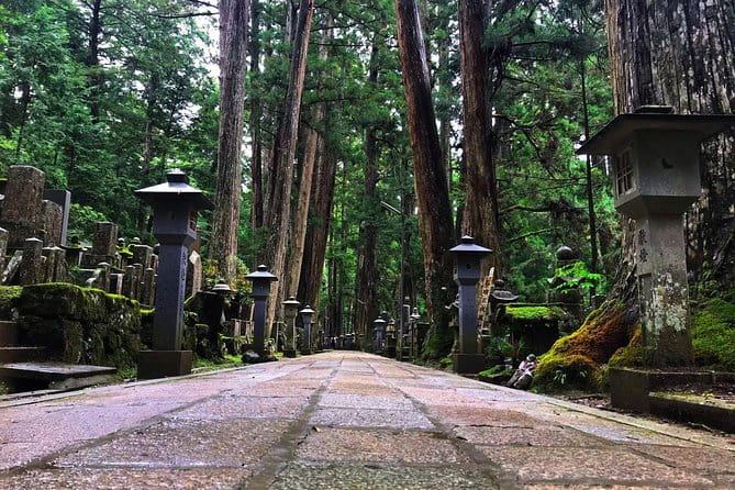 Mt. Koya Sacred Full-Day Private Tour (Osaka Departure) With Licensed Guide - Accessibility and Restrictions