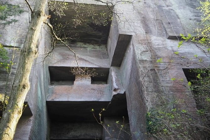 Mt. Nokogiri Tour by Private Car - Health and Accessibility