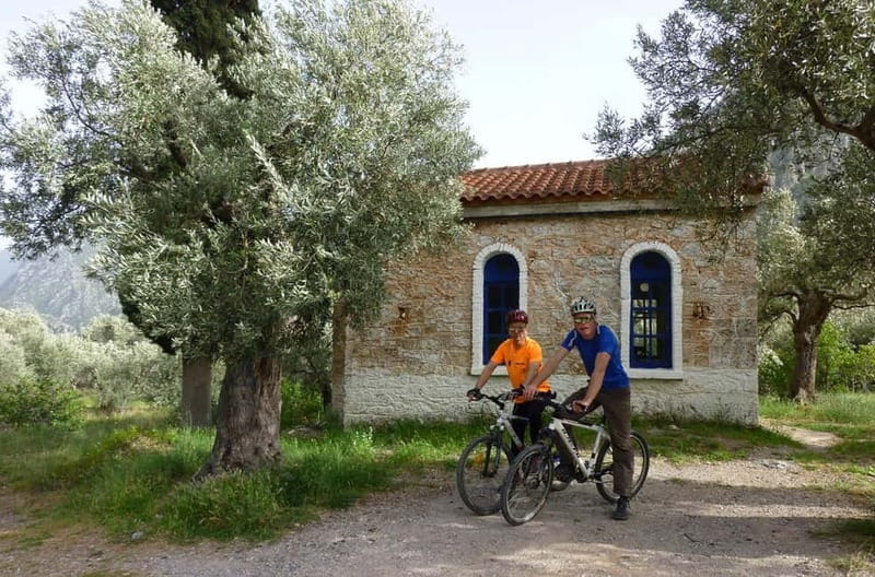 Mt. Parnassos: Mountain Bike in Altitude Forest - Mount Parnassos: A Land of Forests and Hidden Caves