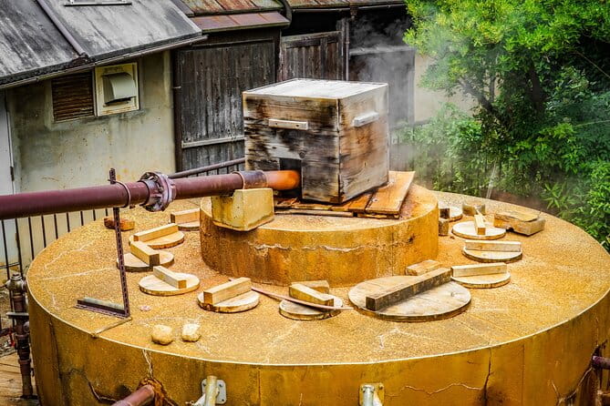 Mt. Rokko and Arima Hot Spring From Osaka - Dietary Restrictions and Special Requests