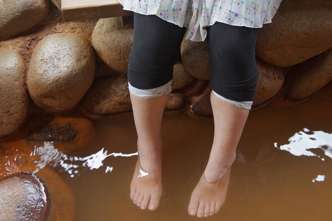 Mt. Rokko and Arima Hot Spring From Osaka - Exploring Mt. Rokko