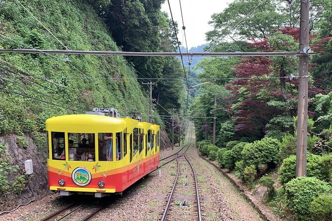 Mt.TAKAO Trekking 1 Day Tour - Additional Information