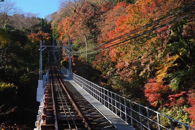 Mt.TAKAO Trekking 1 Day Tour - Exploring Mt. TAKAO
