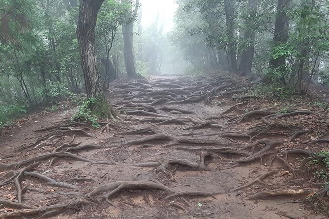 Mt. Takao With Hot Spring Private Tour - Pickup Information