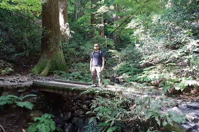 Mt. Takao With Hot Spring Private Tour - Exploring Mount Takao