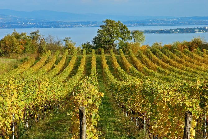 Mt Vesuvius - Arriving at Mt. Vesuvius: The Itinerary in Detail