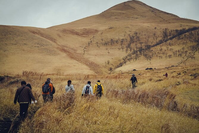 Mt. Yufu Grassland Private Hiking and Lunch - Pricing and Booking Information