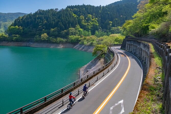 MTB, Hybrid or Gravel Road Bike Rental in Okutama, Tokyo - Key Points